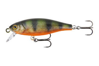 Image of Stucki Fanatics Shorty 5CM Perch bei JUMBO
