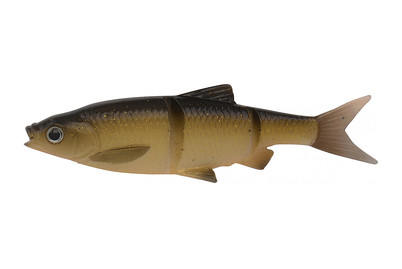 Image of SG 3D LB Roach Swim'n Jerk 7.5 CM 4G - Dirty Roach bei JUMBO