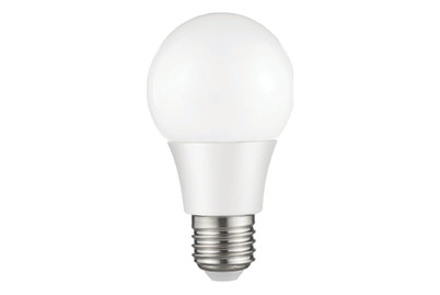 Image of PG LED Kolben E27 (5.5W) matt Duo bei JUMBO