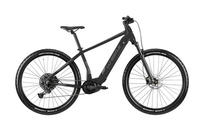 Image of Whistle E-Mtb Castor Cx625 29, 46 cm bei JUMBO