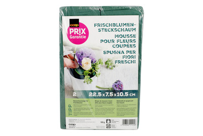 Image of Prix Garantie Frischblumensteckschaum 100 gr. bei JUMBO