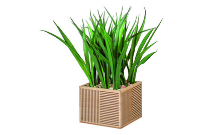 Image of Kunstpflanze im Holztopf 10.5x10.5x26 cm bei JUMBO