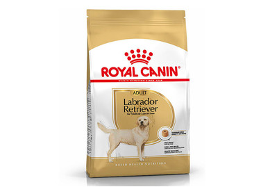 Image of Royal Canin Yorkshire Terrier Adult DOG WET food