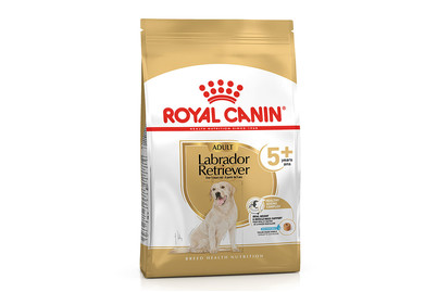 Image of Royal Canin Chihuahua Adult DOG WET food bei JUMBO