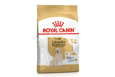 Image of Royal Canin Chihuahua Adult DOG WET food
