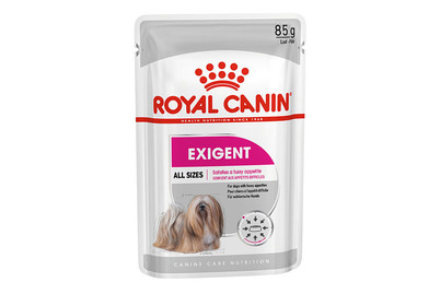 Image of Royal Canin Mini Sterilised Adult/Mature DOG DRY food bei JUMBO