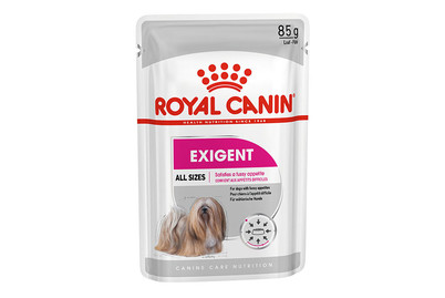 Image of Royal Canin Mini Sterilised Adult/Mature DOG DRY food