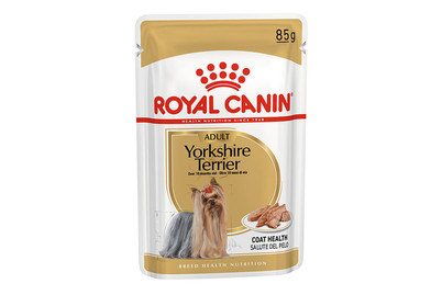 Image of Royal Canin Medium Adult Adult DOG WET food