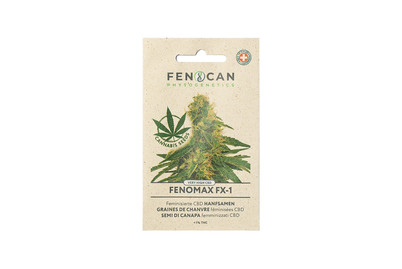 Image of Hanfsamen Fenomax Fx-1 bei JUMBO