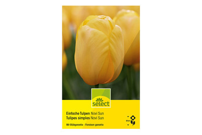 Image of Select Blumenzwiebel Tulpen Novi Sun