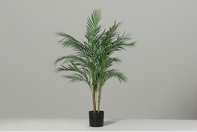 Image of Künstl. Chico Palme bei JUMBO