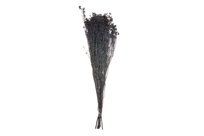 Image of Broom Bloom schwarz, ca. 80g