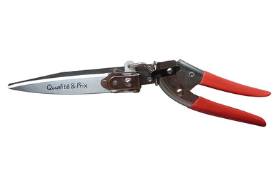 Image of Qualité&Prix Rasenkantenschere bei JUMBO