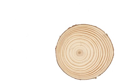 Image of Holzscheibe 10x1cm bei JUMBO