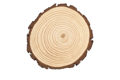 Image of Holzscheibe 20 - 22 x 2 cm bei JUMBO