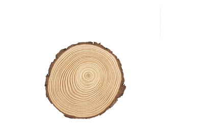 Image of Holzscheibe 15 x 1.5 cm bei JUMBO