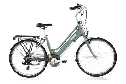Image of Leopard E-Bike Railway II 26'' highland bei JUMBO