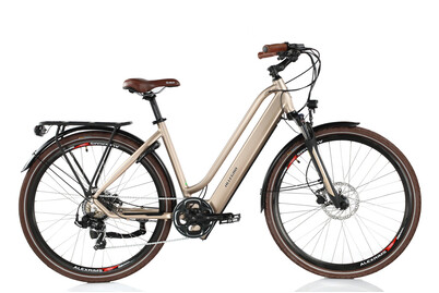 Image of Allegro E-Bike Invisible Alltour Atil°02 28, Unisex, sanisbal gold bei JUMBO