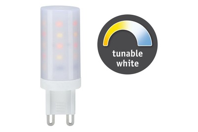 Image of LED Stiftsockel 1x4W G9 Warmweiss - Tageslichtweiss TunableWhite