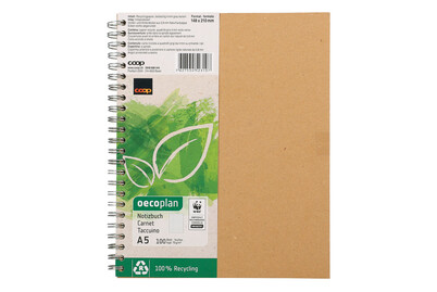 Image of Oecoplan, Notizbuch A5, 4mm kariert bei JUMBO