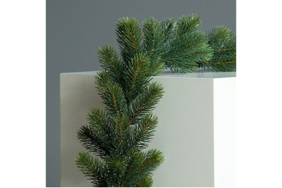 Image of Edeltannengirlande bei JUMBO