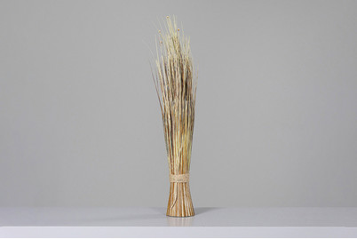 Image of Isolepsisarrangement, trocken optik bei JUMBO