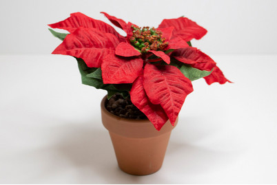 Image of Kranz bei JUMBO