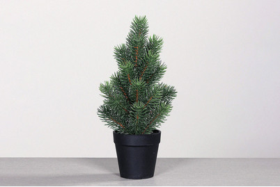 Image of Tannenbaum im Kunststofftopf bei JUMBO