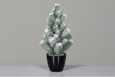 Image of Tannenbaum mit Schnee im Topf gross bei JUMBO
