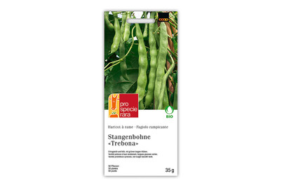 Image of PSR Bio StangenbohneTrebona bei JUMBO