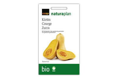 Image of Bio Naturaplan Kürbis Butternut