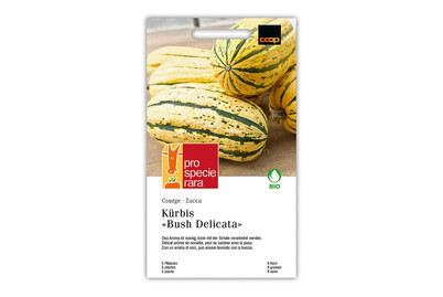 Image of PSR Bio Kürbis Delicata bei JUMBO