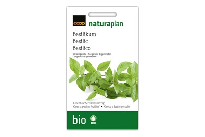 Image of Bio griechischerBasilikum bei JUMBO