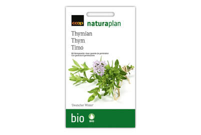 Image of Bio Thymian Deutscher Winter bei JUMBO