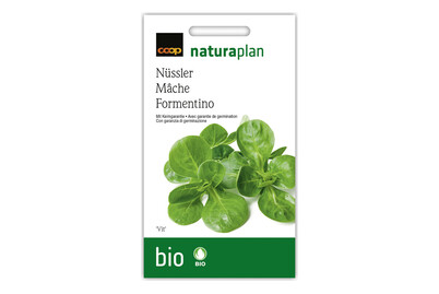 Image of Bio Nüsslisalat Vit bei JUMBO
