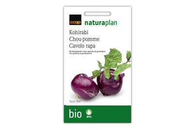 Image of Bio Kohlrabi Azur Star bei JUMBO