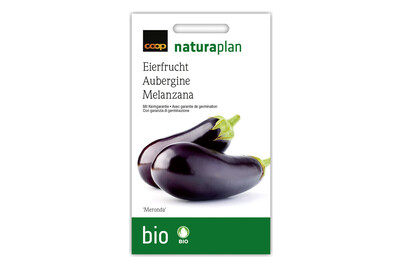 Image of Bio Eierfrucht Meronda bei JUMBO