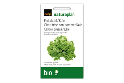 Image of Bio FederkohlKale Halbhoher bei JUMBO