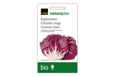 Image of Bio Kopfzichorie Palla Rossa bei JUMBO