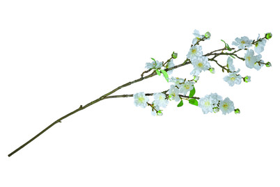 Image of Künstl. Kirschzweig m. Blüten weiss 80cm bei JUMBO