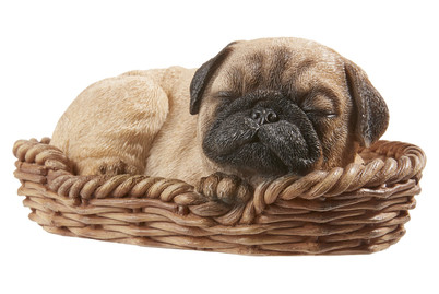Image of Vivid Mops Welpe im Körbchen bei JUMBO