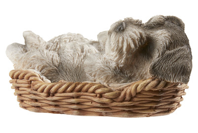 Image of Vivid Schnauzer Welpe im Körbchen bei JUMBO