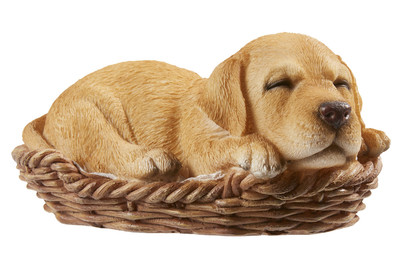 Image of Vivid Labrador Welpe im Körbchen bei JUMBO