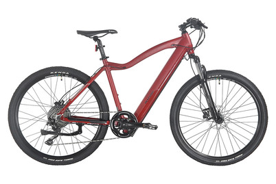 Image of Allegro E-Mtb Invisible Axim°03 27.5, 48 cm, Berry bei JUMBO