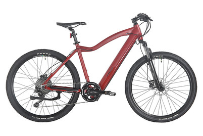 Image of Allegro E-Mountainbike Invisible Axim°03 – 27.5 / 48cm – 250W Bafang – Berry