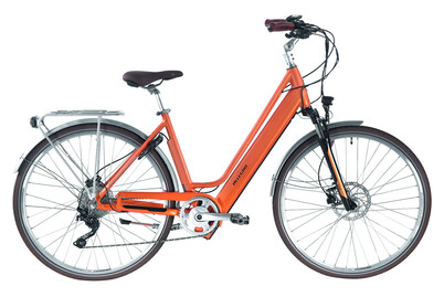 Image of Allegro E-Bike Invisible City Acil°03, 28, 48 cm, sandstone bei JUMBO