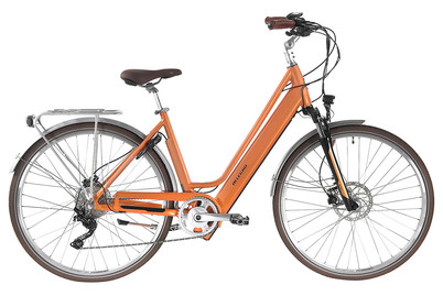 Image of Allegro E-Bike Invisible City Acil°03, 28, 52 cm, sandstone bei JUMBO