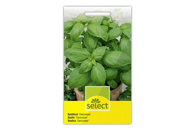 Image of Select Basilikum Genoveser bei JUMBO