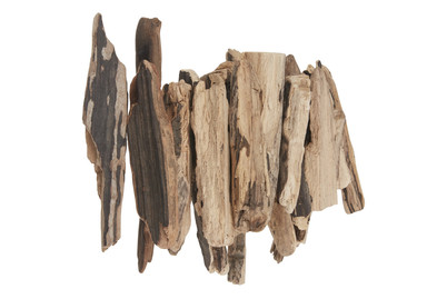 Image of Schwemmholz sortiert bei JUMBO