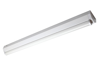 Image of Basic 1/150 bei JUMBO